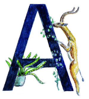 Personalized Letter